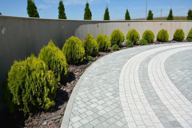 Best Driveway Paving Contractor  in Louisburg, NC